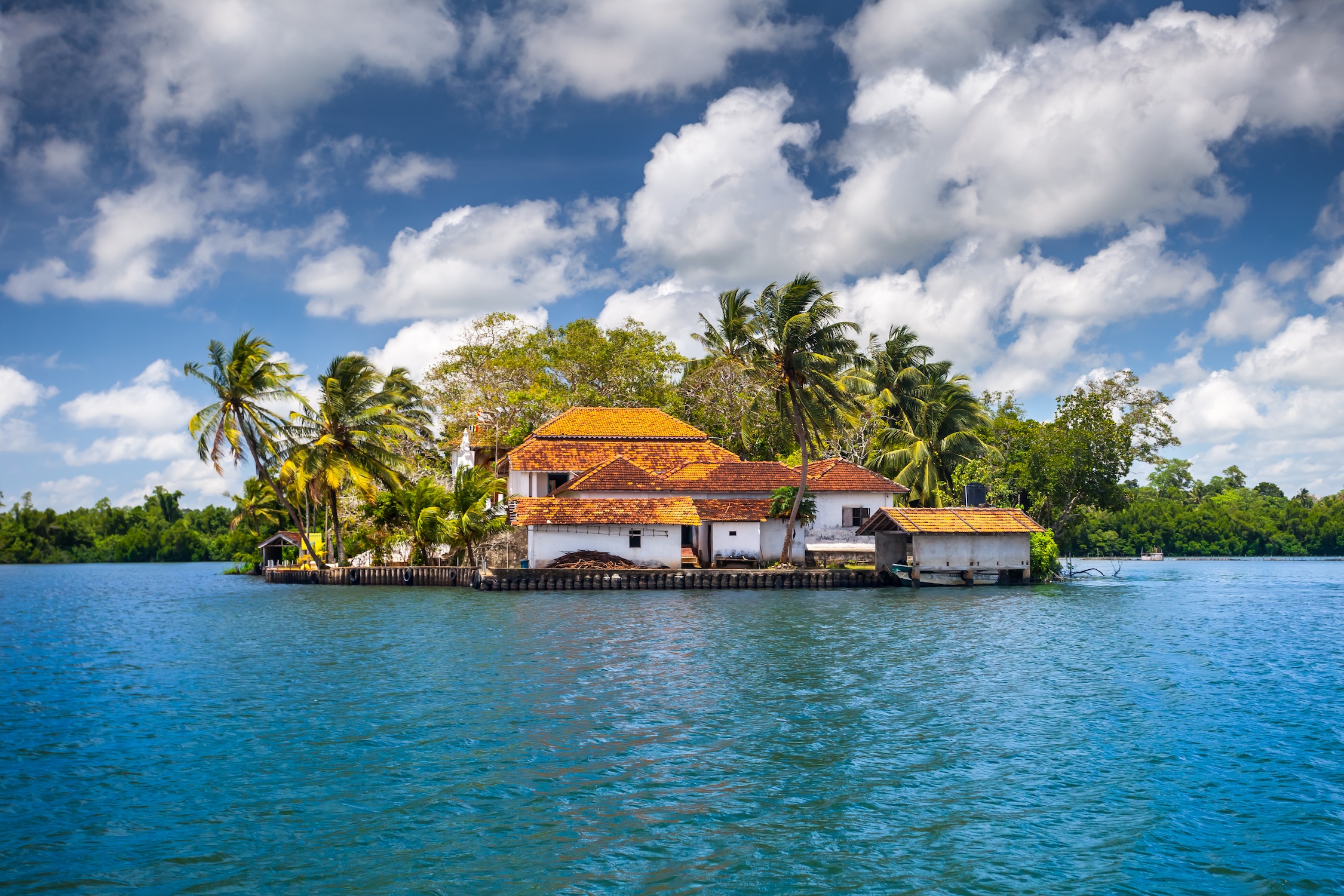 Buildings on peninsula, tropical plants. Sri Lanka