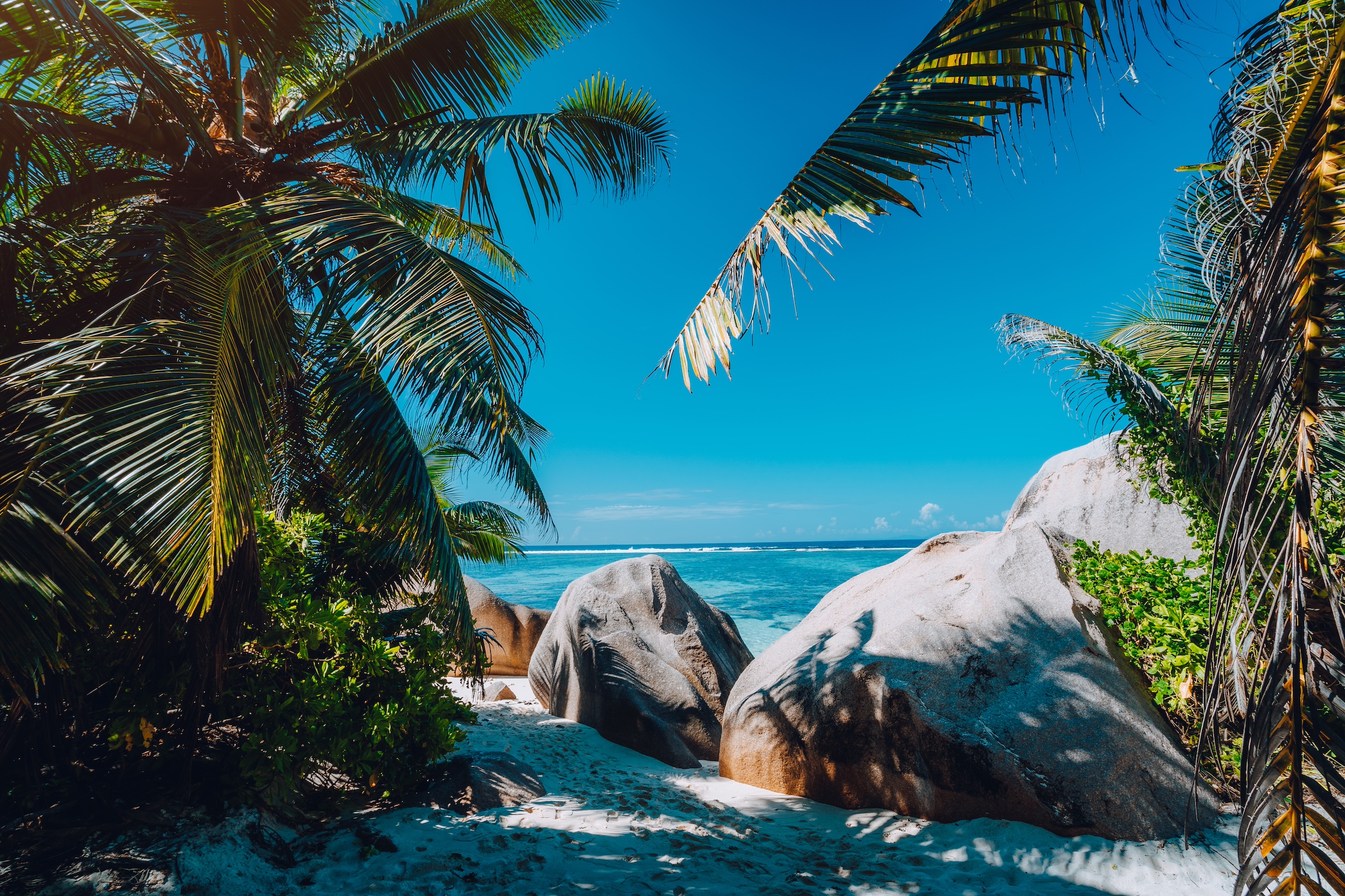 Famous tropical beach Anse Source d'Argent natural palm shade, granite boulders, La Digue Island, Seychelles