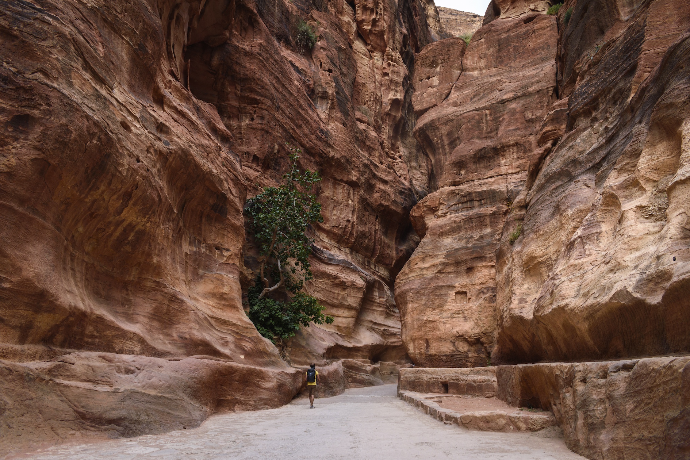 Man walking along path through rock formations at Petra, Jordan.,Petra,Jordan