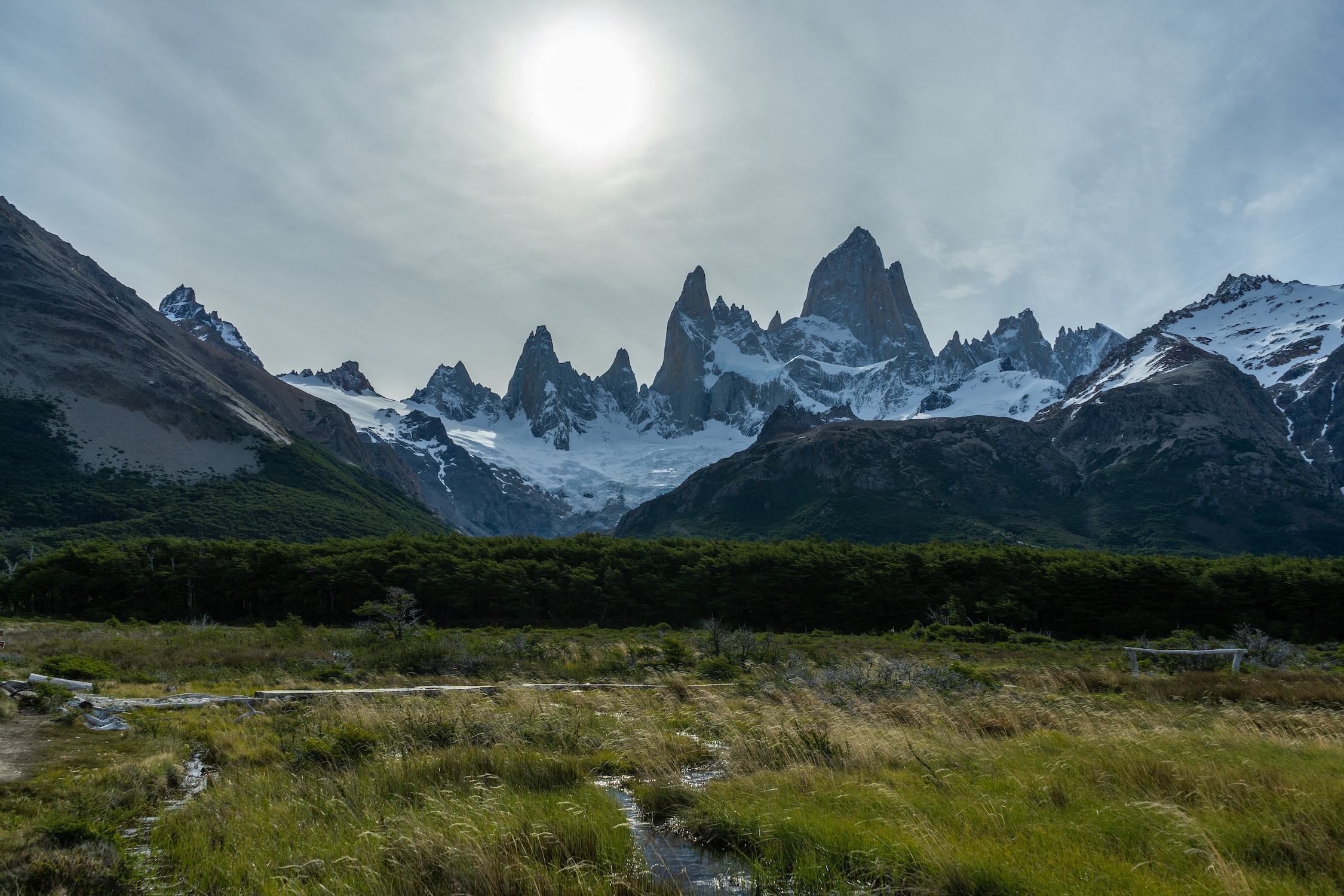 Mount Fitz Roy and Green Meadow. Andes, Patagonia, Argentina.