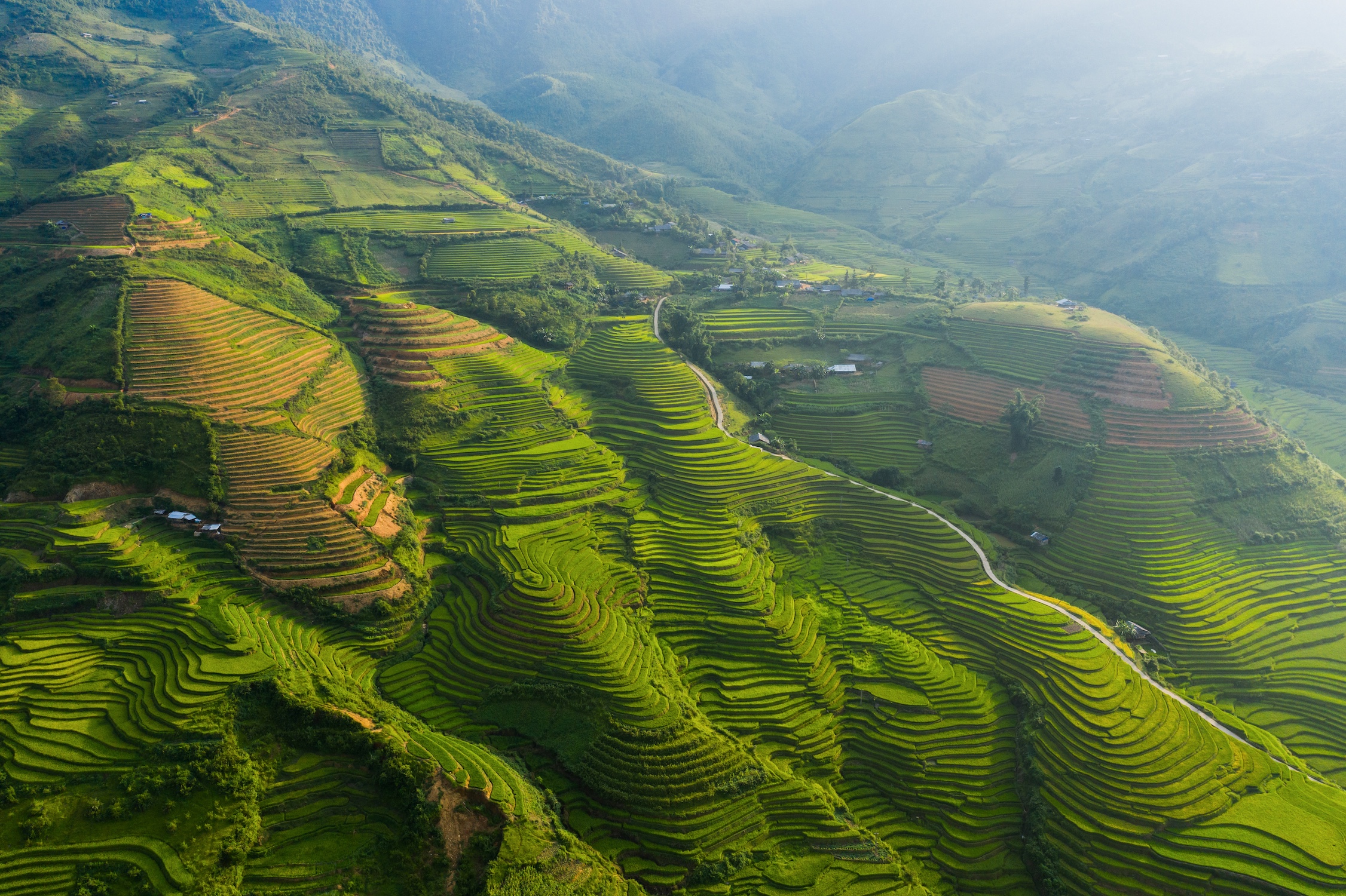 Aerial top view of paddy rice terraces, green agricultural fields in countryside or rural area of Mu Cang Chai, Yen Bai, mountain hills valley at sunset in Asia, Vietnam. Nature landscape background.