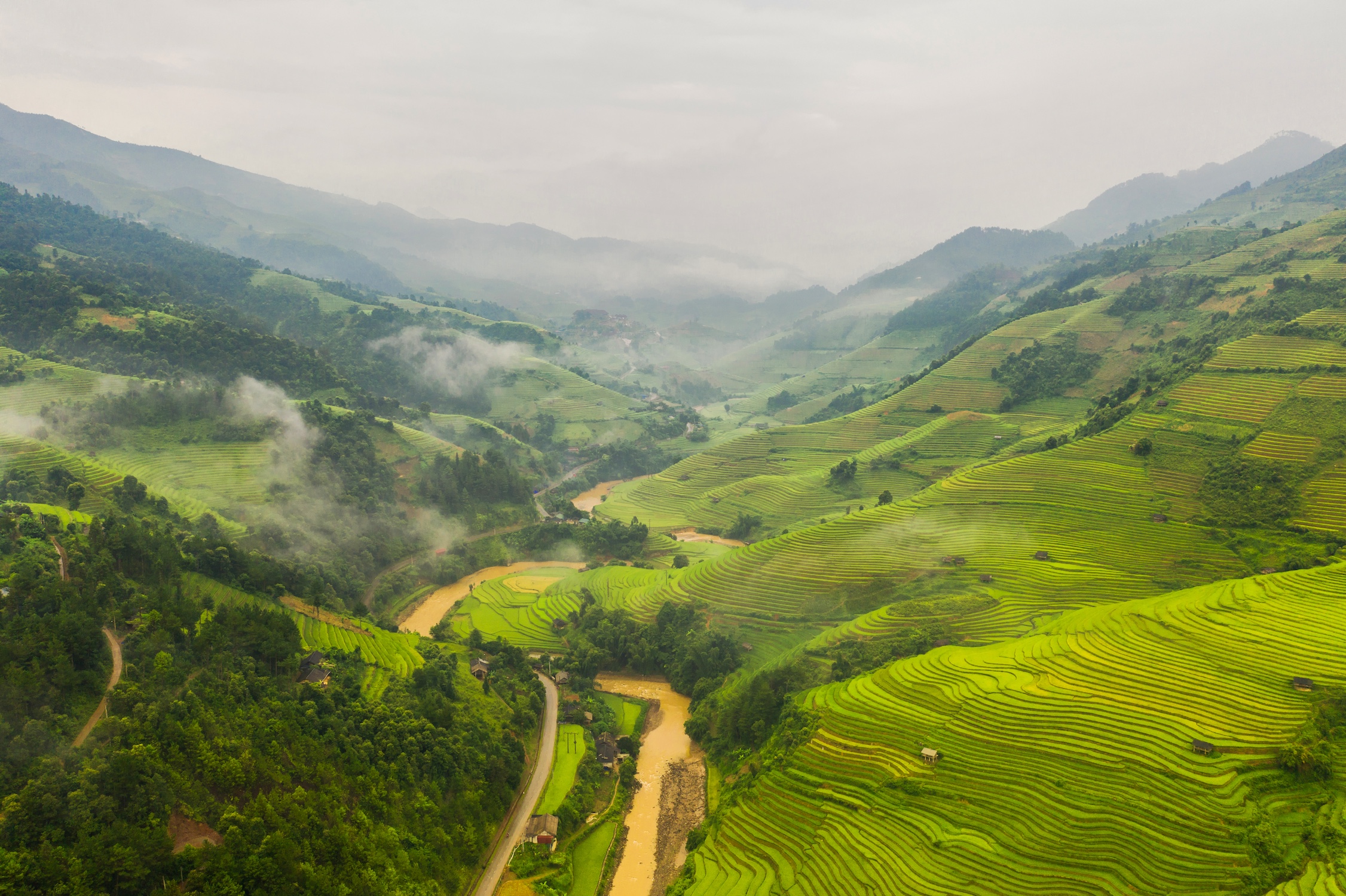 Aerial top view of paddy rice terraces, green agricultural fields in countryside or rural area of Mu Cang Chai, Yen Bai, mountain hills valley at sunset in Asia, Vietnam. Nature landscape background.