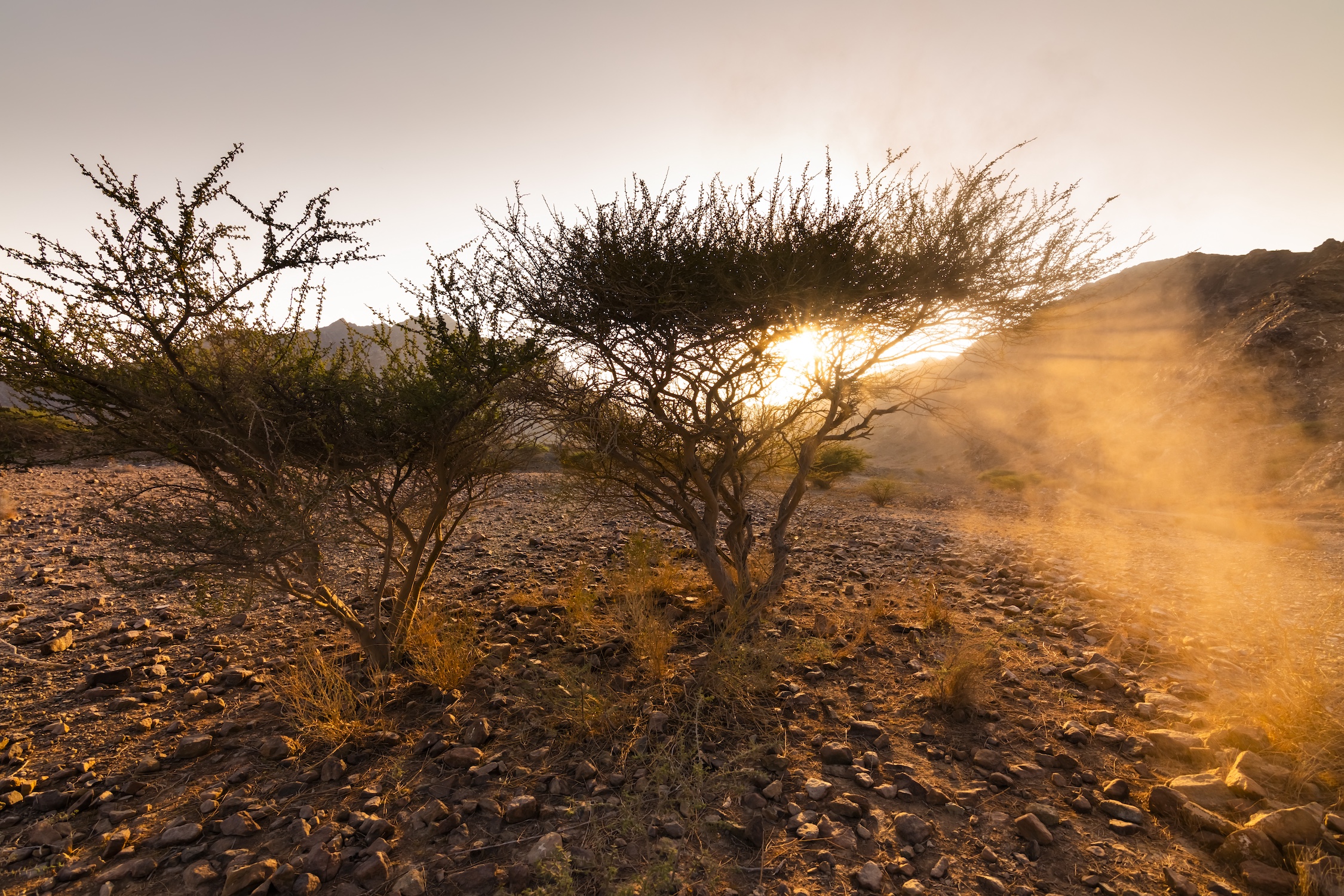 Rocky desert in Fujairah mountains at sunset, United Arab Emirates.