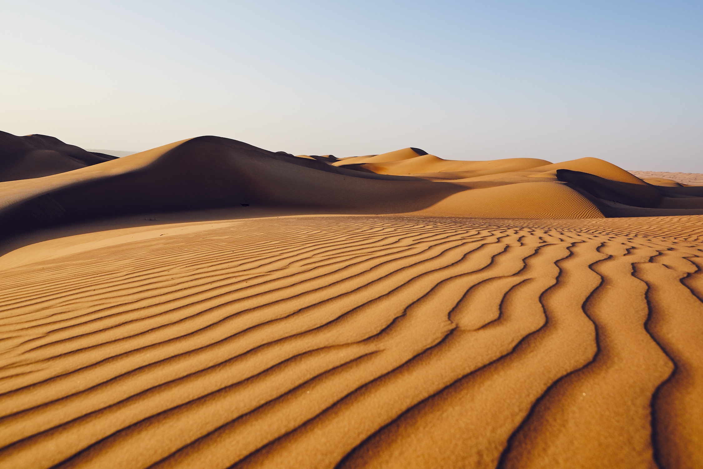 Sand dunes in desert landscape