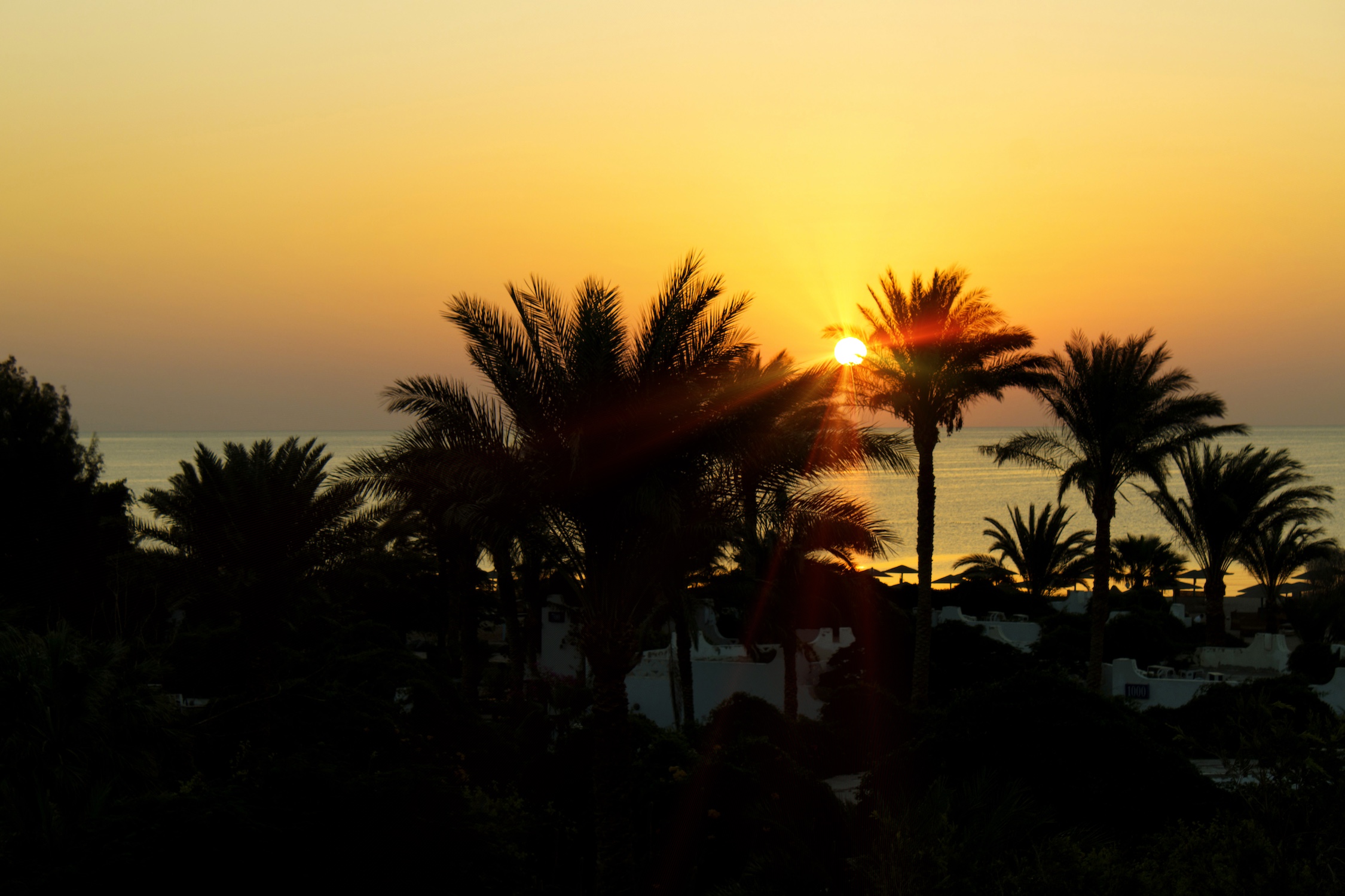 Sunrise, Red Sea, Egypt